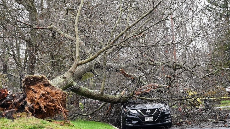 Long Island to experience a sunnier weekend after heavy rain-thumbnail