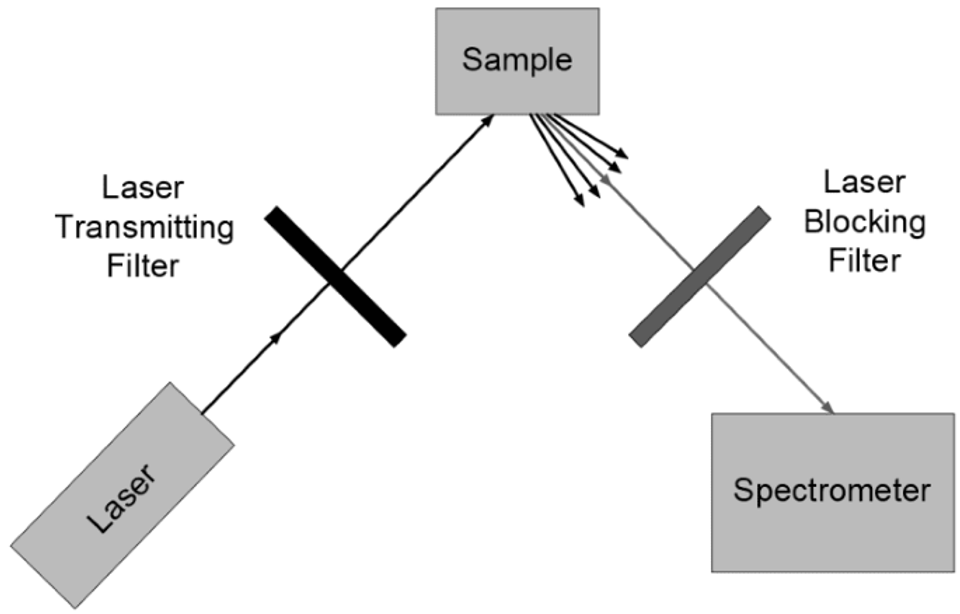 Advanced Raman Filters for Biomedical Spectroscopy: Potential Applications in Neurosurgery and Osteoporosis Diagnosis-thumbnail