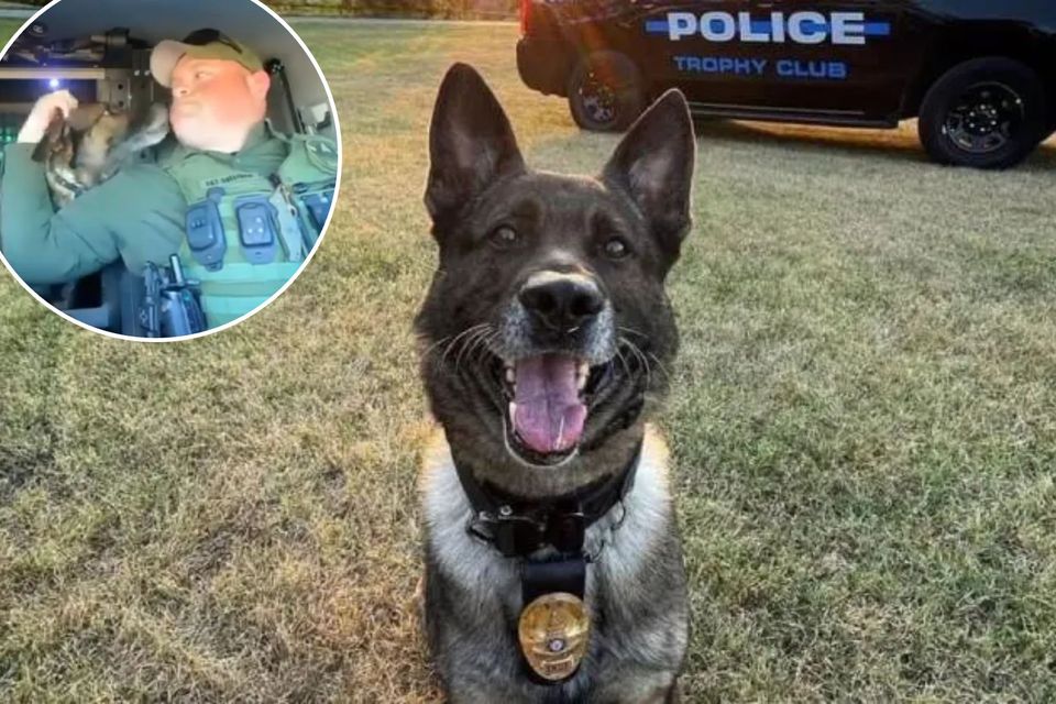 Heartfelt retirement for Texas K-9 after nearly a decade of service-thumbnail