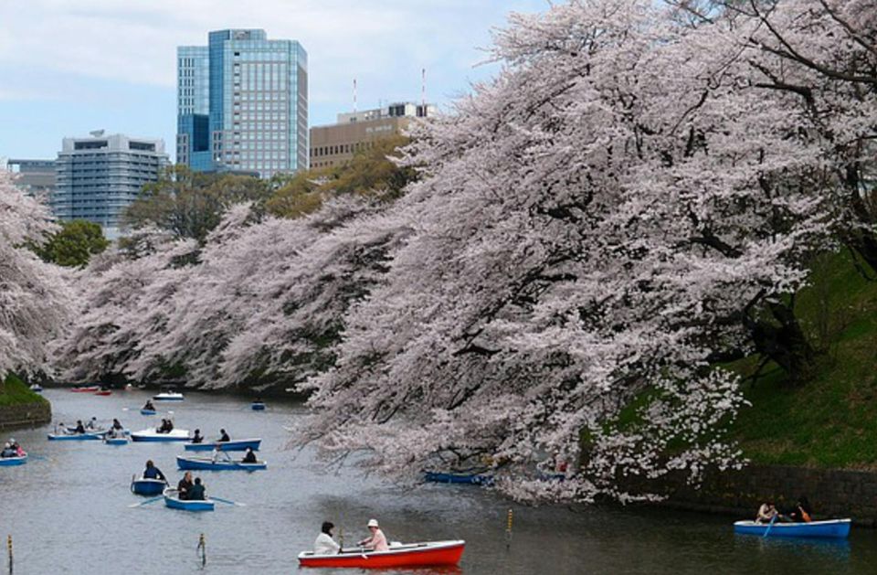 Tokyo tops TripAdvisor's fastest-growing tourist destination ranking-thumbnail