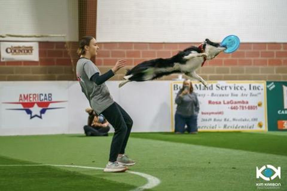 Teen excels in national dog agility shows-thumbnail