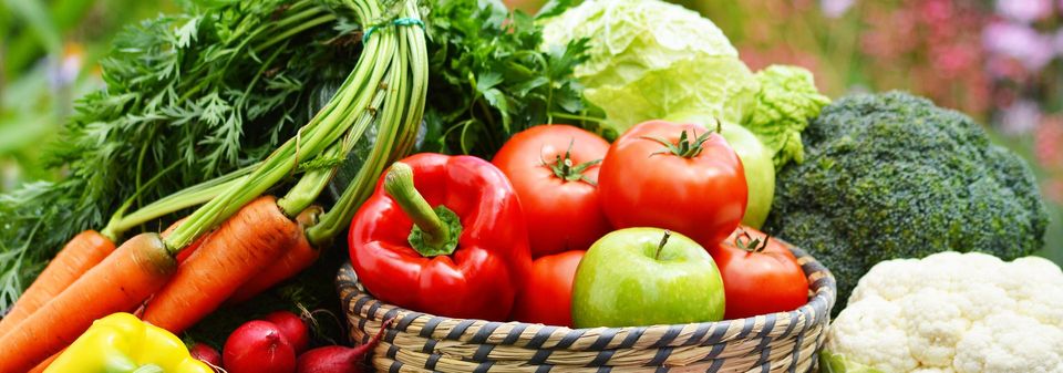 Plant-based diets linked to better health outcomes in new study-thumbnail