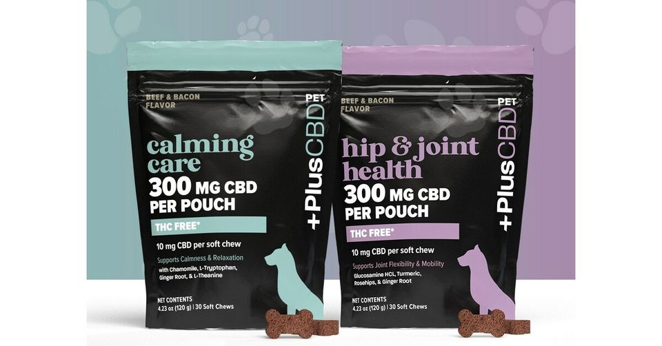 CV Sciences Launches CBD Pet Chews for Joint Health and Calming Care-thumbnail