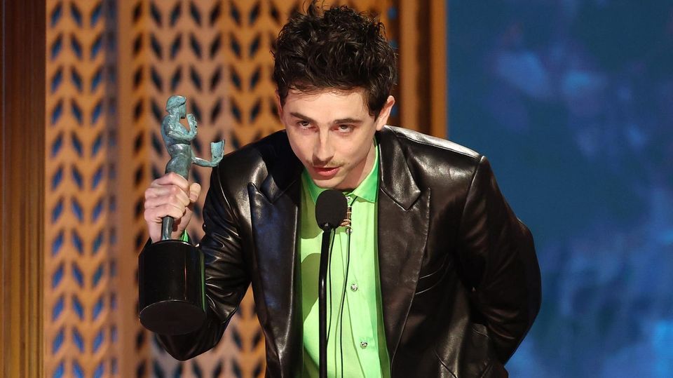 Timothée Chalamet Wins Big at 2025 SAG Awards-thumbnail