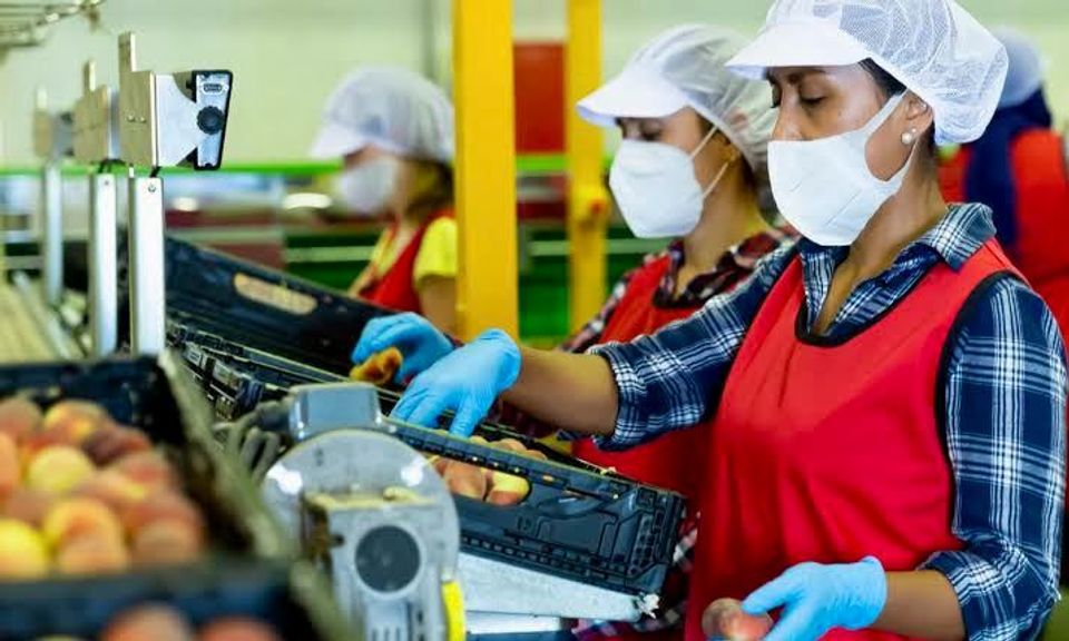 Yucatán Ranks Third in Female Labor Market Entry-thumbnail