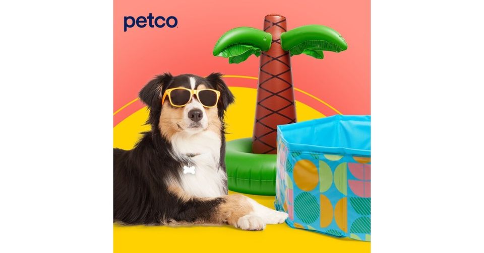 Petco Launches Affordable Summer Collection for Pets-thumbnail