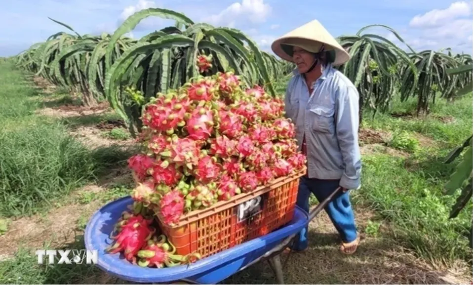 Israel to advise Vietnam on irrigation technologies-thumbnail