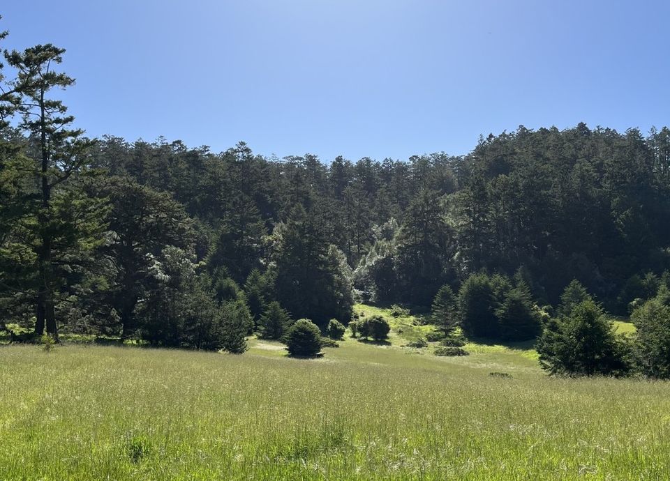 Divine Hike to West Marin’s Divide Meadow-thumbnail