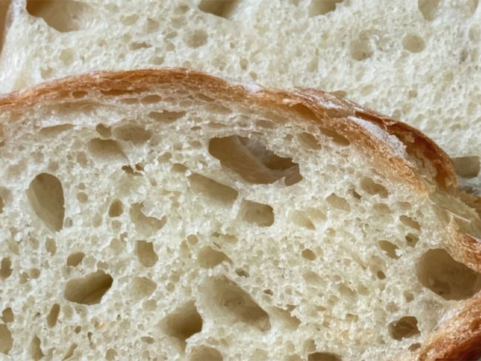 Il Granaio delle Idee and Ginkgo Bioworks collaborate to improve sourdough strains-thumbnail