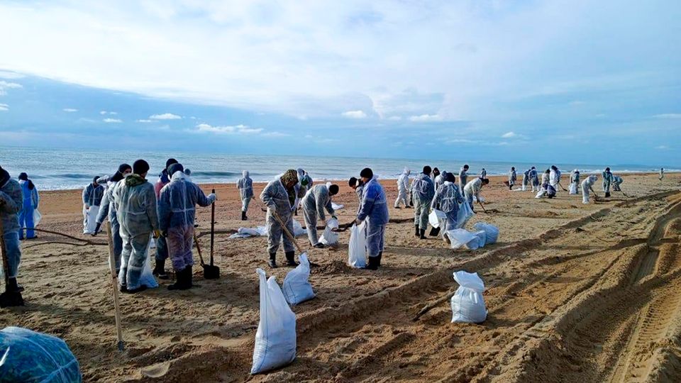 Oil spill kills over 30 dolphins off Crimea-thumbnail