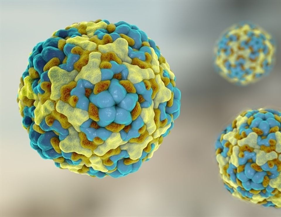 Climate change may increase enterovirus outbreaks by up to 40%-thumbnail