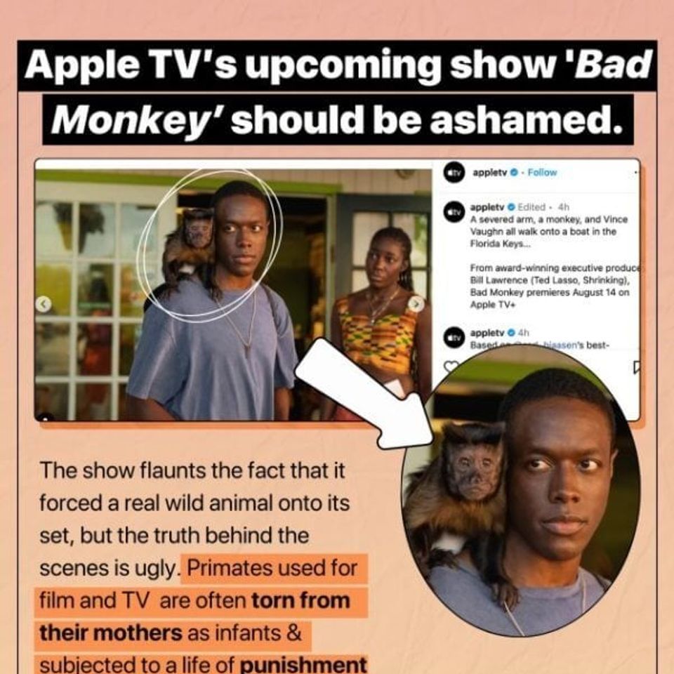 PETA urges Apple TV+ to stop using real monkeys in Bad Monkey series-thumbnail