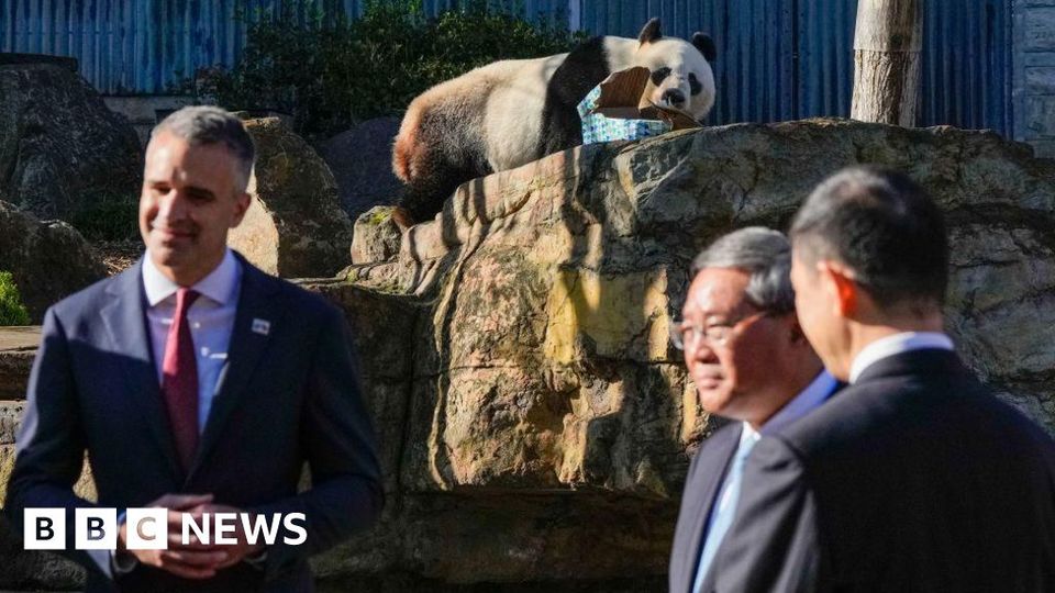 China offers pandas to improve ties with Australia-thumbnail
