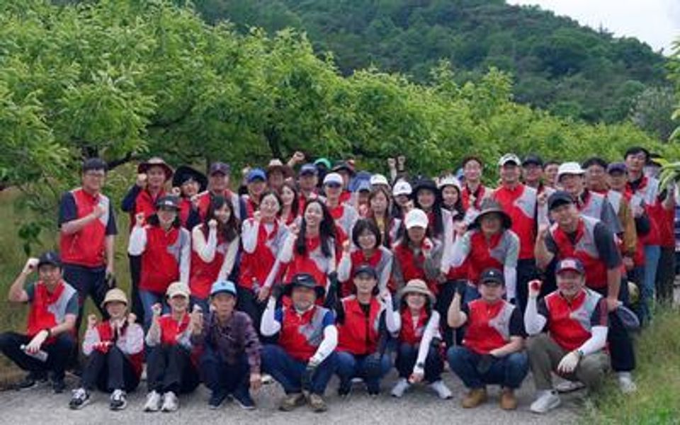 BNK Bank employees volunteer in farming activity-thumbnail